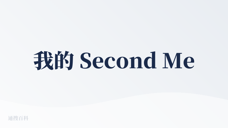 我的 Second Me 使用体验