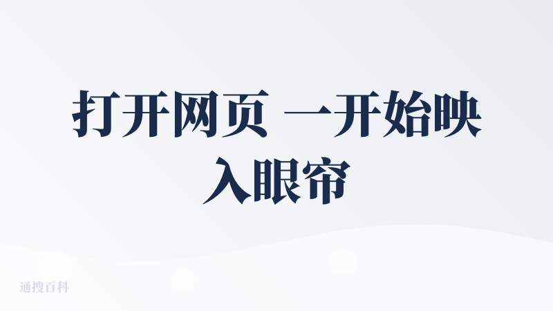 打开网页 一开始映入眼帘的是官网的价值观输出 过于繁琐，想表达的可以用一两句话精简下来，其次，在输出PPT的时候，他的思
