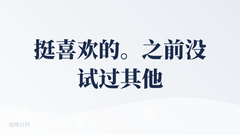 挺喜欢的。之前没试过其他 AI 音乐软件，这一上手就来了一个体验感这么好的，让我会对 AI 生成音乐有个欠拟合的评价的。