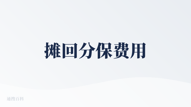 摊回分保费用