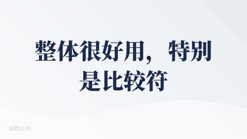 整体很好用，特别是比较符合直觉，几乎你认为可以交给 ai 做的都能做