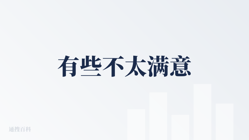 有些不太满意
