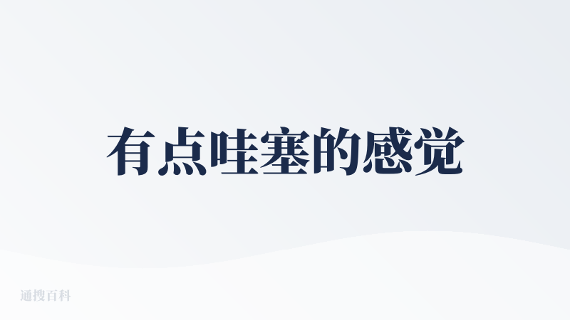 有点哇塞的感觉