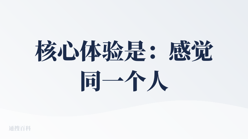 核心体验是：感觉同一个人换着不同面具在我家客厅贴广告