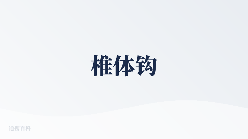 椎体钩
