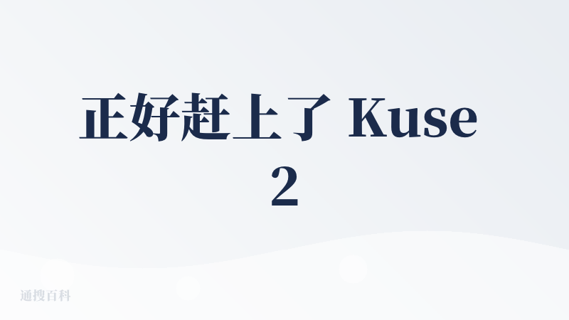 正好赶上了 Kuse 2.0 公测，然后体验下来是有一个合格性产品交付，但是中间有些令我很困惑的体验