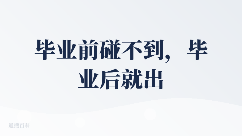 毕业前碰不到，毕业后就出现AI 工具
