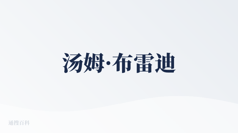 汤姆·布雷迪