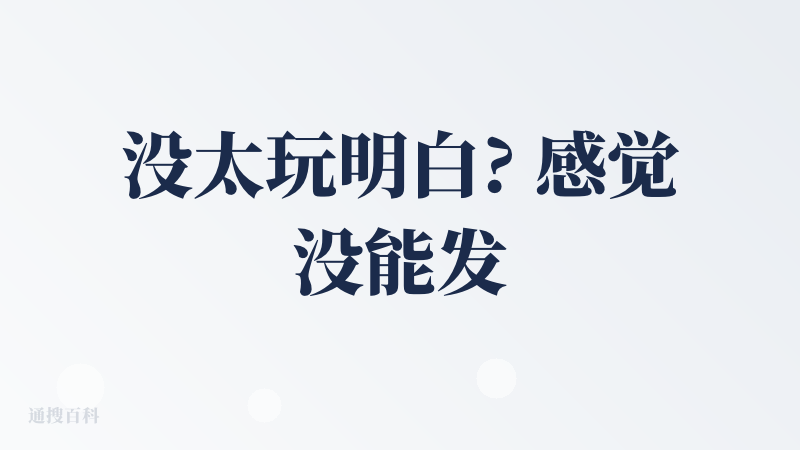 没太玩明白? 感觉没能发挥产品的真正实力