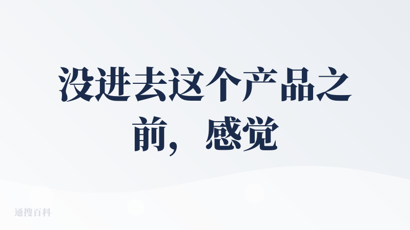 没进去这个产品之前，感觉还有点意思，还有点致敬“出门问问”的意思。