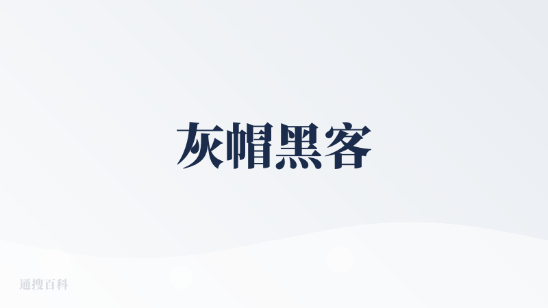 灰帽黑客