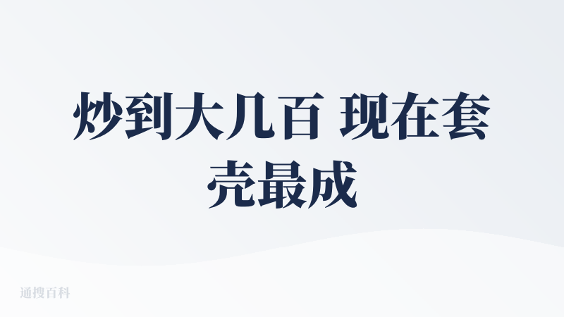 炒到大几百 现在套壳最成功者跌落神坛，好像销声匿迹了