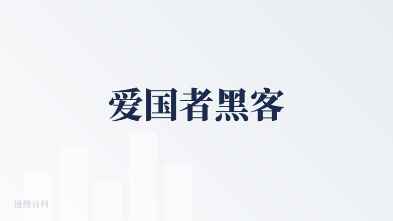 爱国者黑客