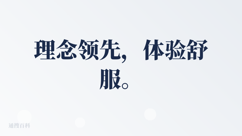 理念领先，体验舒服。