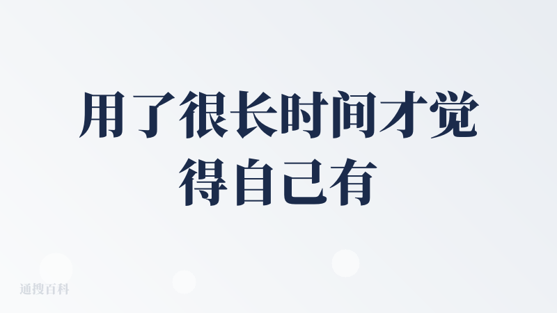 用了很长时间才觉得自己有一定的资格来写评价。