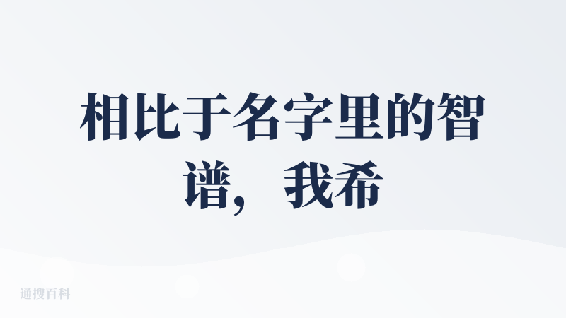 相比于名字里的智谱，我希望能再质朴一点。