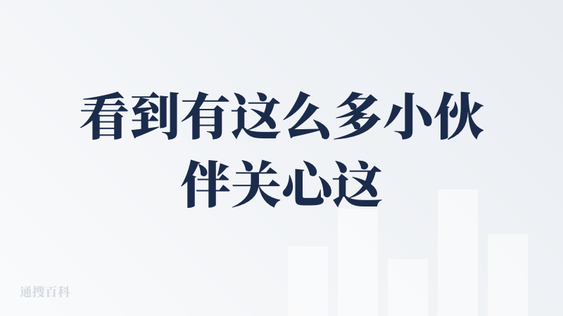 看到有这么多小伙伴关心这个项目，作者真的非常感动。