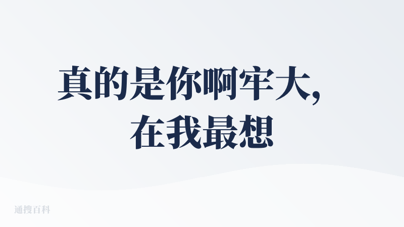 真的是你啊牢大，在我最想搞测试码的时候出现了在我最想搞测试码的时候出现了