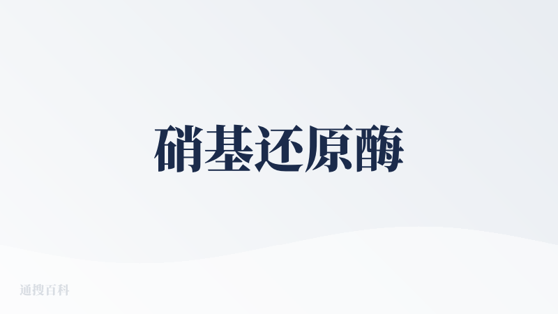 硝基还原酶