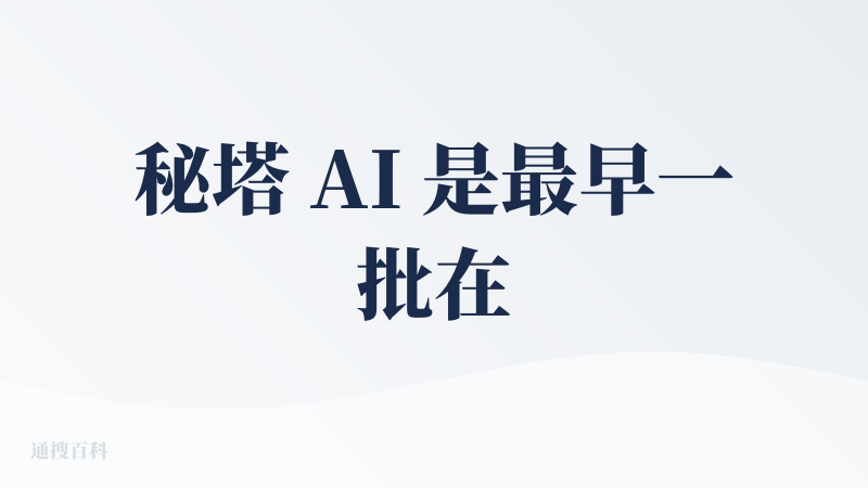 秘塔 AI 是最早一批在国内做 AI 搜索的应用。当初 perplexity 霸榜的时候，是秘塔站出来，给中文搜索做出了