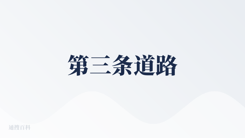 第三条道路