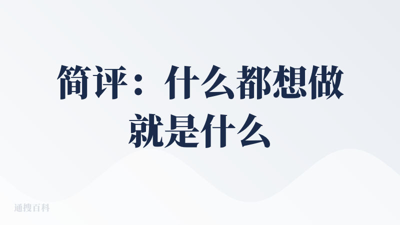 简评：什么都想做就是什么都做不好
