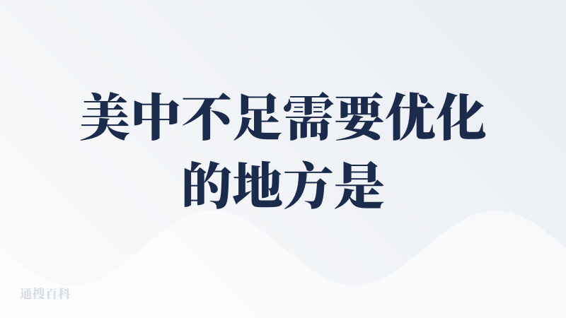 美中不足需要优化的地方是文本模式和广播模式目前不能一键切换成对方说话模式翻译给我听，目前看起来只能我说话，老外另一头看到