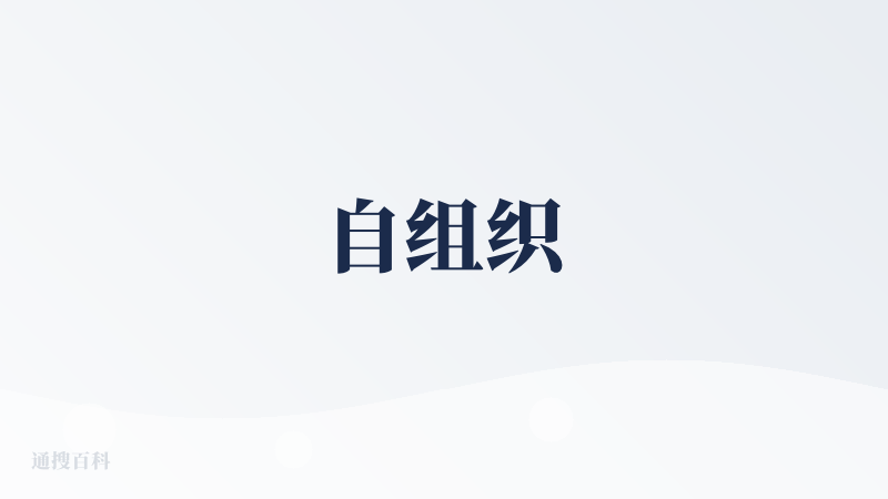 自组织