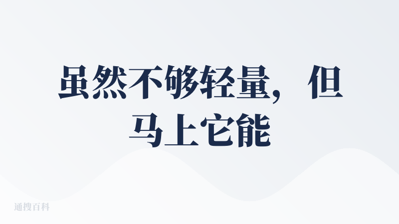 虽然不够轻量，但马上它能继承各个主流AI厂商的大模型，比如CC GeminiCode 甚至Copilot，AI编辑器 还