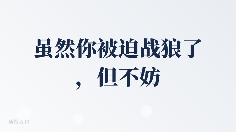 虽然你被迫战狼了，但不妨碍我还是喜欢这个模型