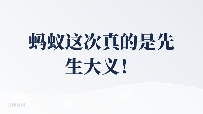 蚂蚁这次真的是先生大义！！！