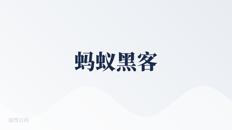 蚂蚁黑客