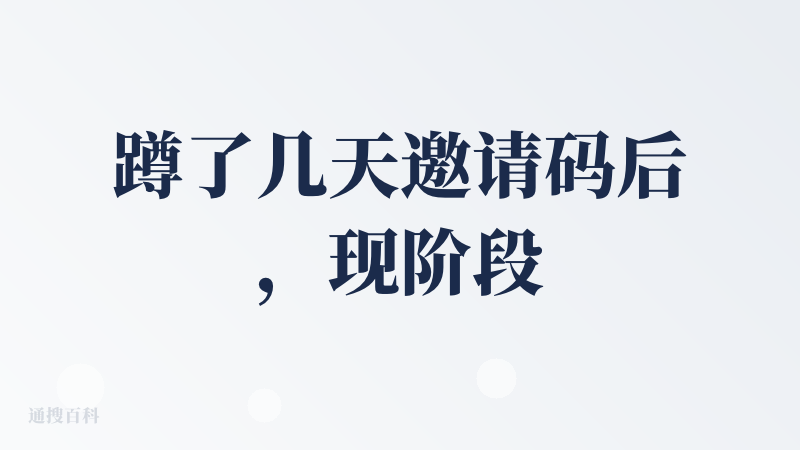 蹲了几天邀请码后，现阶段失望大于期望，按照提示的摸鱼提醒，设置后没见怎么提醒。