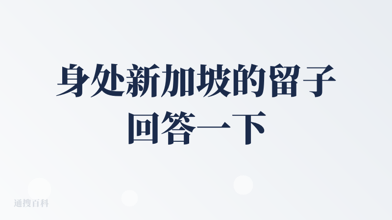 身处新加坡的留子回答一下这个问题：个人英文水平不高，目前在新加坡也是在华文部上课。