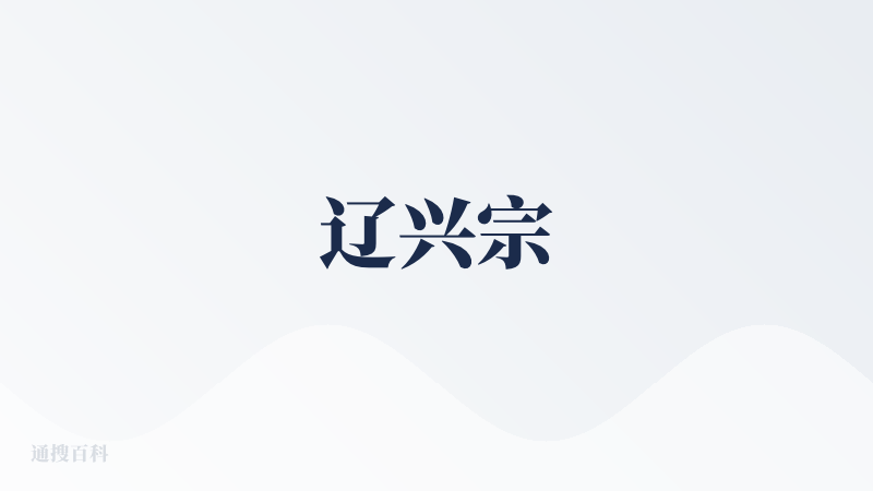 辽兴宗
