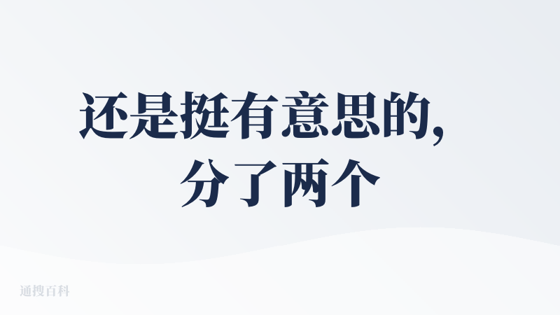 还是挺有意思的，分了两个语言区，每种语言有对应的翻译，如果和外国人对话交流的话比较方便。但是免费版只有40分钟，39块钱