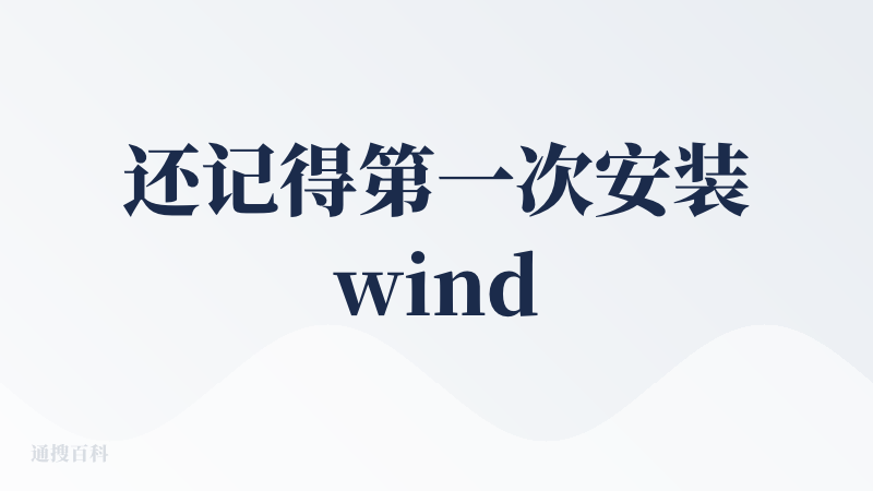 还记得第一次安装windsurf,是一个雷电交加的雨夜，cursor的免费账号断了，是他仿佛横空出世，跟铺天盖地的介绍文