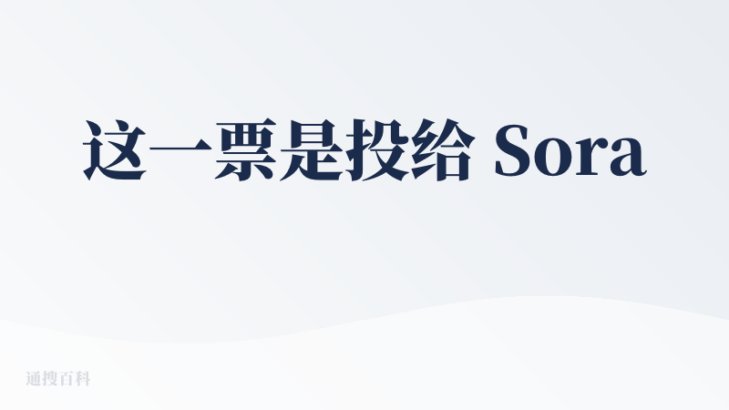 这一票是投给 Sora 的技术能力和合拍的玩法的。