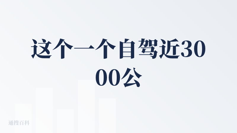 这个一个自驾近3000公里之后的查评！