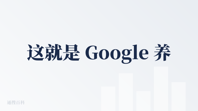 这就是 Google 养的那帮顶级研究人员，顶级大脑，他们造出来的物理世界模型的雏形。