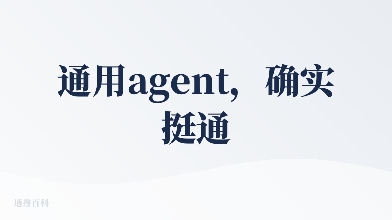 通用agent，确实挺通的，不过用就算了