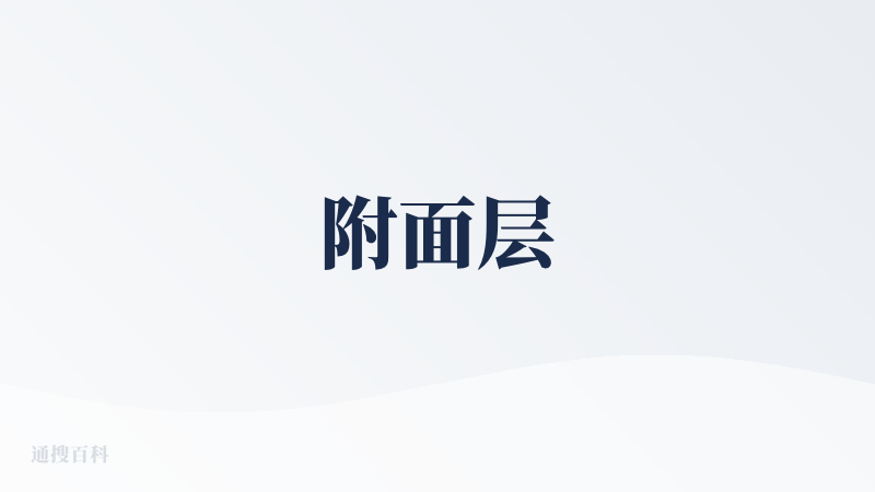 附面层