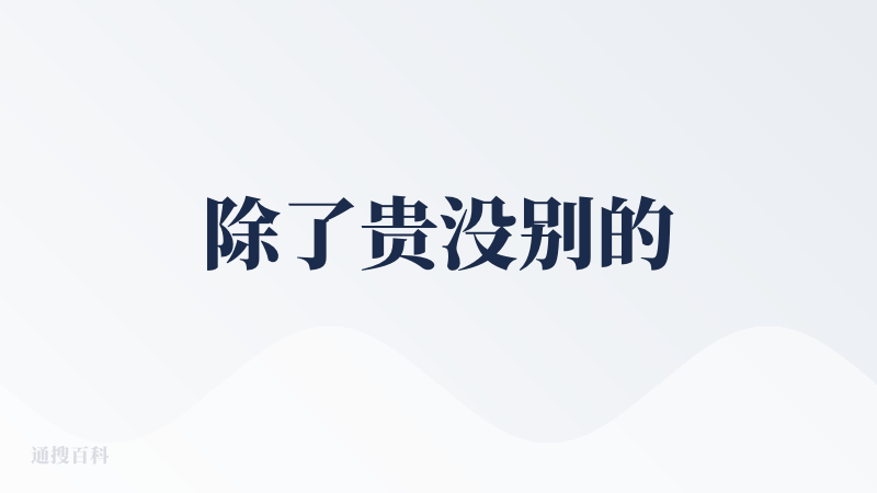 除了贵没别的