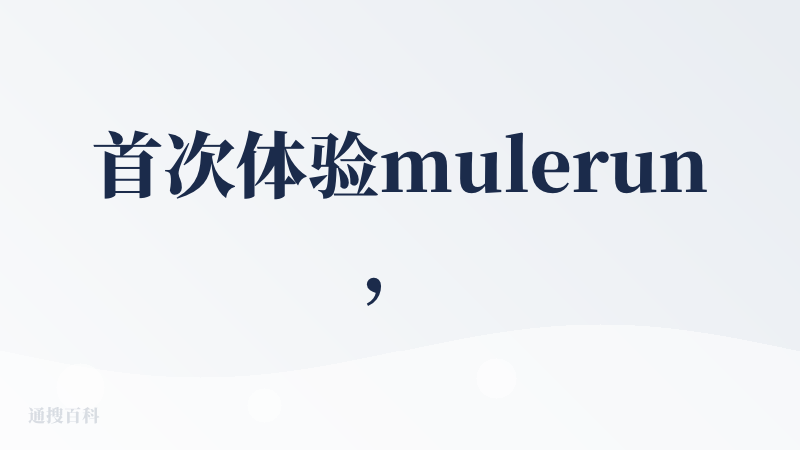 首次体验mulerun，结论是愿景很美好，但是实际体验一言难尽。同时，建议在新人用户登录后可以有个onboarding的