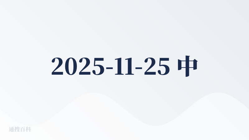 2025-11-25 中午