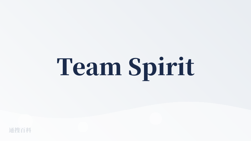 Team Spirit
