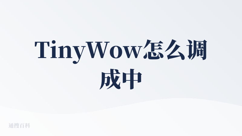 TinyWow怎么调成中文
