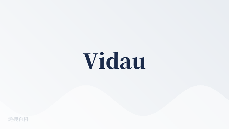 Vidau