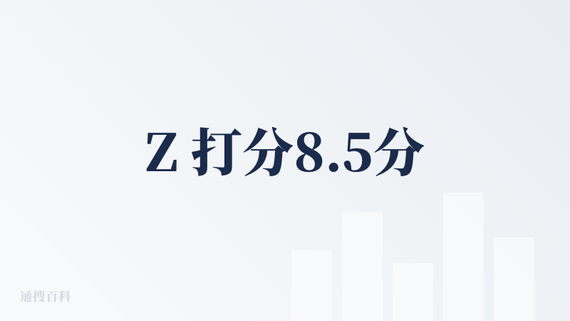 Z 打分8.5分