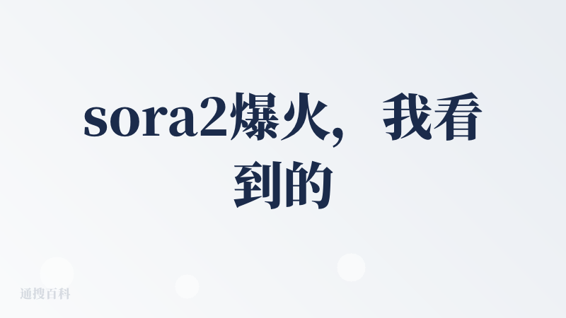 sora2爆火，我看到的除了各种搞笑视频获取流量，已经有开发者或者商家开始使用对应sora接口，他们可能都是用的sora
